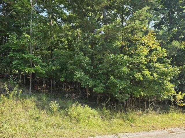Land for sale in Boyd, Kentucky
