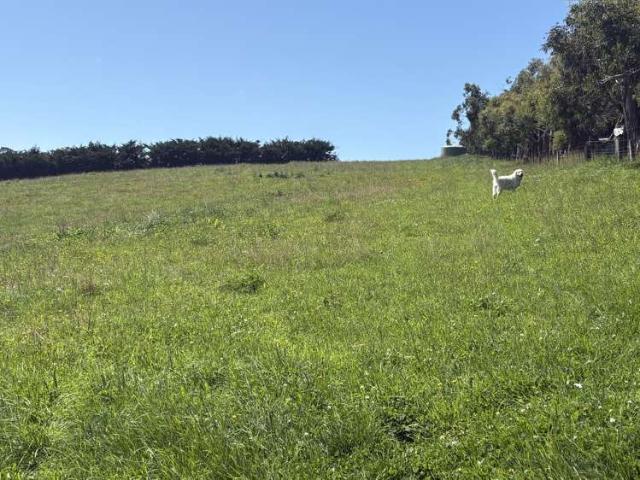 Property for sale in Hadlow, Canterbury