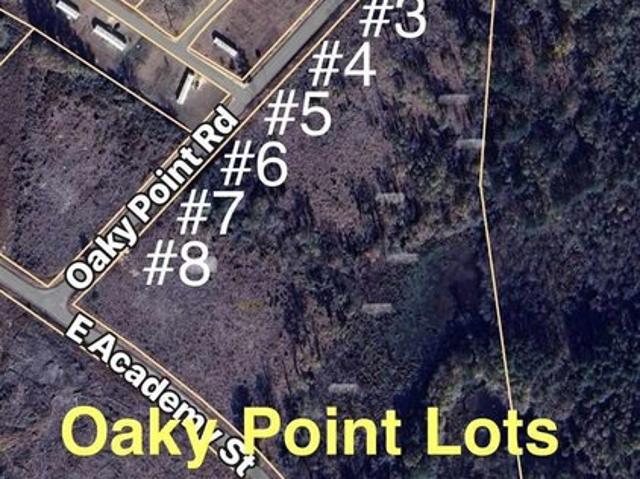 Land for sale in Latta, South Carolina