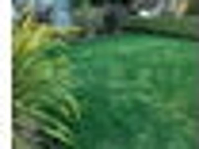 House for rent in Otakou