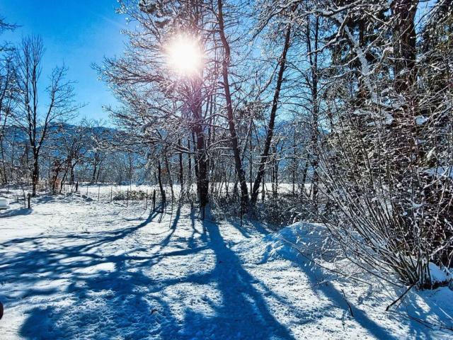 Grundstück kaufen in St. Jakob im Rosental, Kärnten