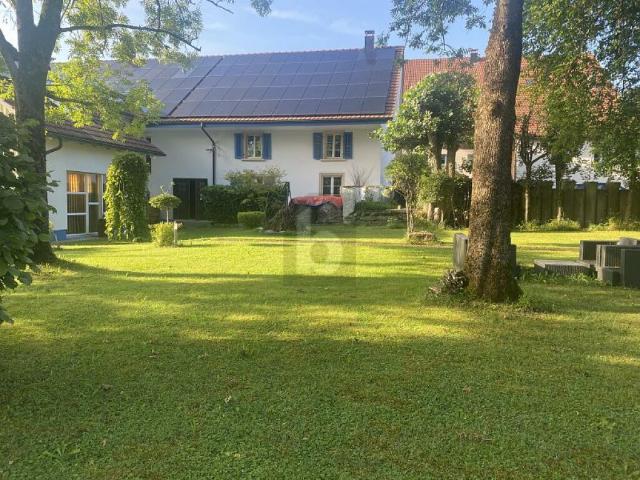 Immobilie mieten in Effingen, Aargau