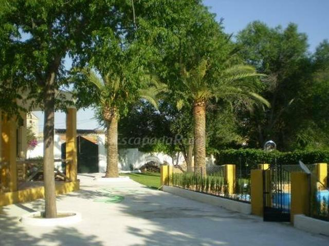 Casa en alquiler en El Coronil, Andalucía