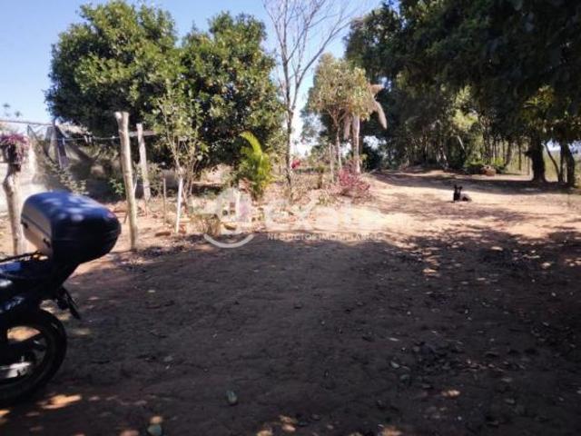 Sítio e chácara venda em Piedade, São Paulo