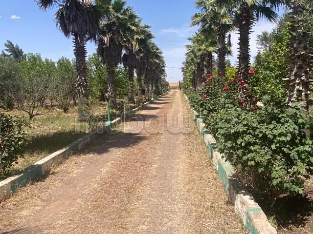 Appartement vente à Gharb-Chrarda-Beni Hssen
