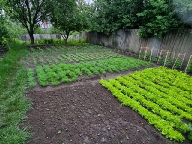 Участок продажа в Винницкой области
