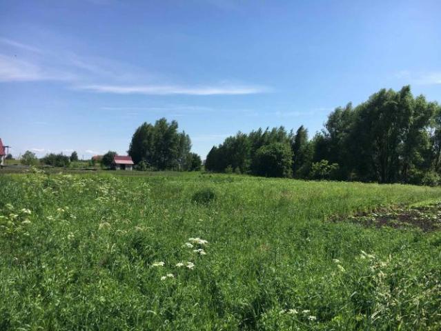 Участок продажа в Черновицкой области