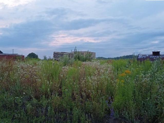 Участок продажа в Великой Березовице