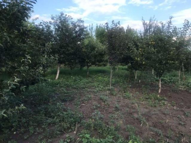 Участок продажа в Тернопіль, Тернопільський район