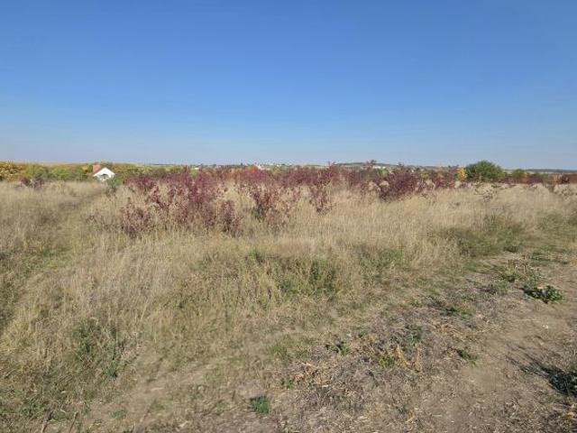Участок продажа в Тернопільська область