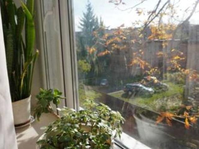 Квартира продажа в Полтавской области