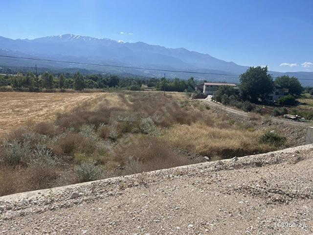 Muğla içerisinde satılık Arsa
