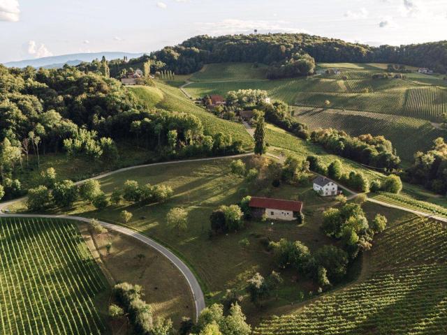 Haus kaufen in Sauberg, Spielfeld