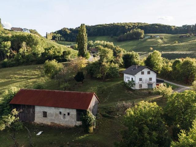 Haus kaufen in Kaindorf an der Sulm