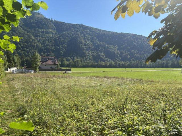 Apartment kaufen in Faistenau, Salzburg