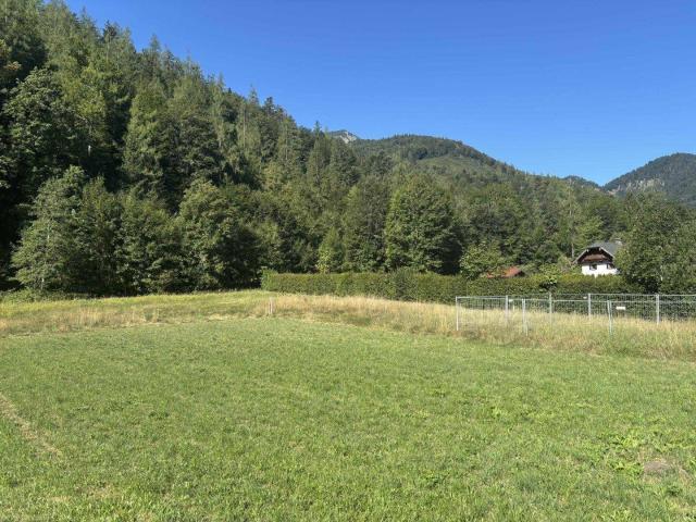 Apartment kaufen in Faistenau, Salzburg