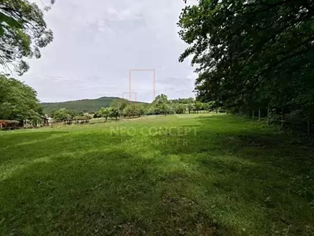 Terrain vente à Oberbronn, Collectivité européenne d'Alsace