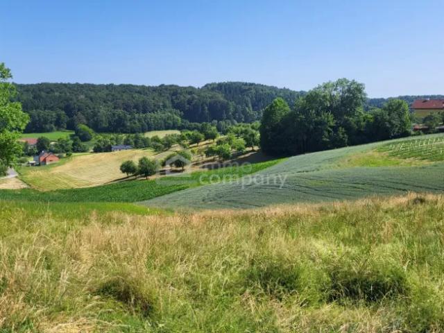 Grundstück kaufen in Kirchberg an der Raab, Steiermark