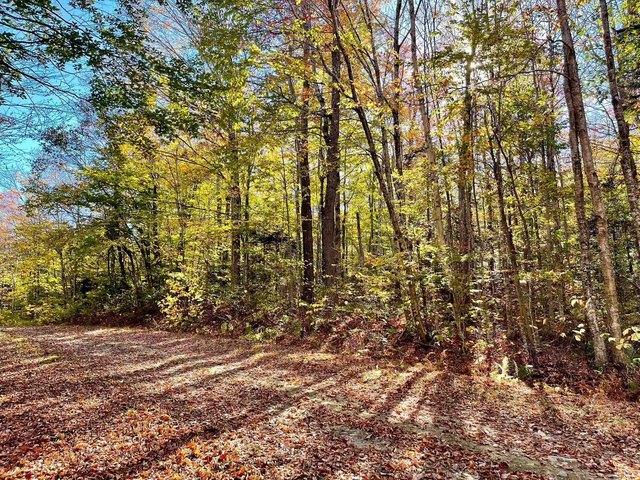 Land for sale in Bennington, Vermont