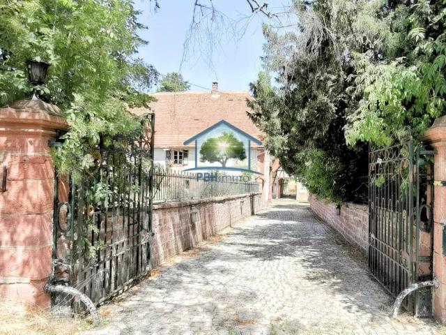 Maison vente à Saverne, Obermodern-zutzendorf