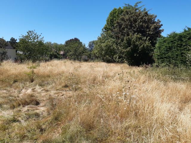 Terrain vente à Sélestat-Erstein, Boersch