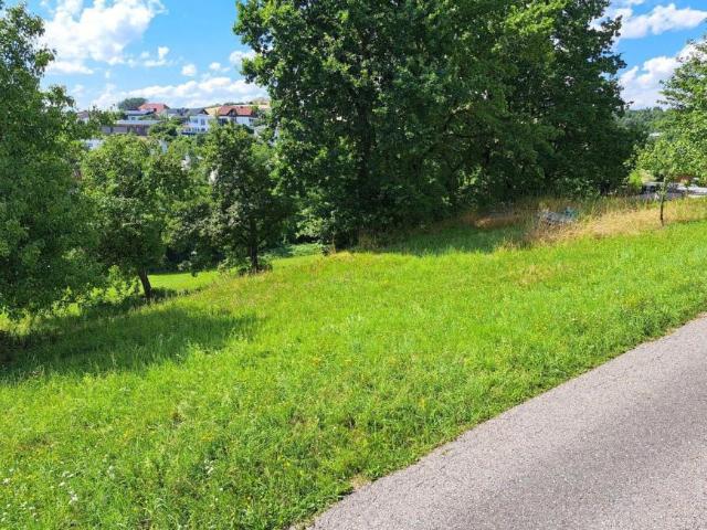 Gewerbe kaufen in Walding, Oberösterreich