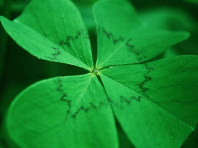 Gewerbe kaufen in Linden, St. Georgen am Walde