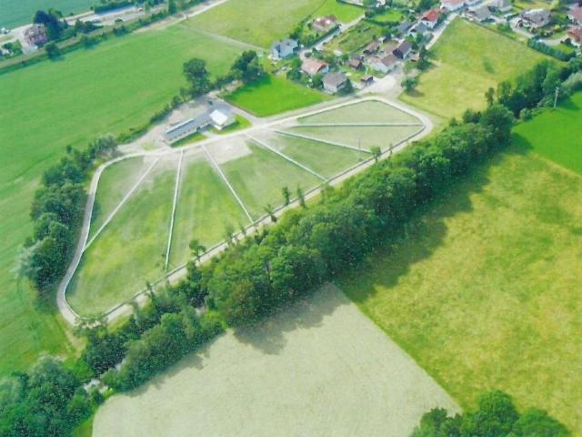 Gewerbe kaufen in Ried im Innkreis, Oberösterreich