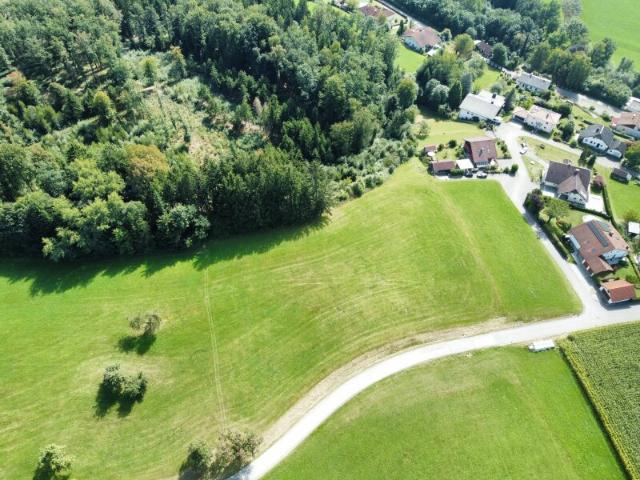 Grundstück kaufen in Freinberg, Oberösterreich