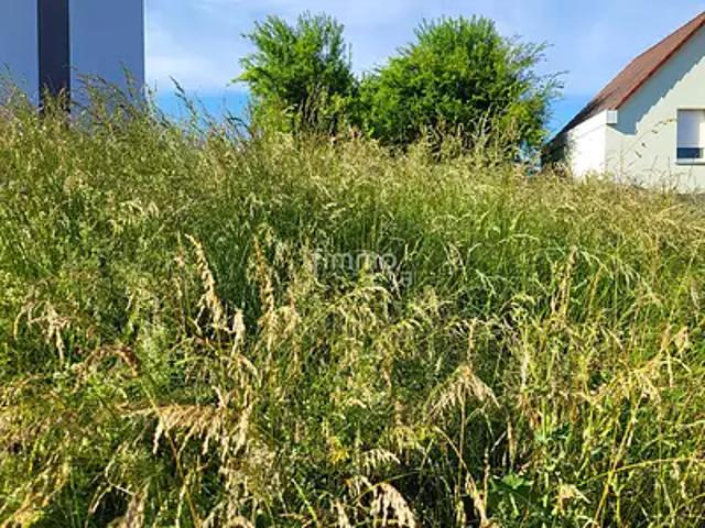 Terrain vente à Haguenau-Wissembourg, Oberroedern