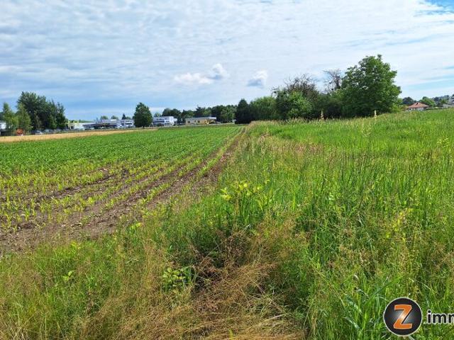 Grundstück kaufen in Oberwart, Burgenland