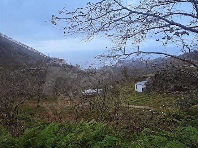 Yılgın, Tirebolu içerisinde satılık mülk