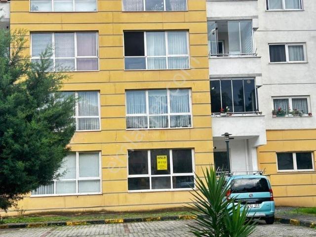 Küçükköy, Giresun Merkez içerisinde kiralık mülk