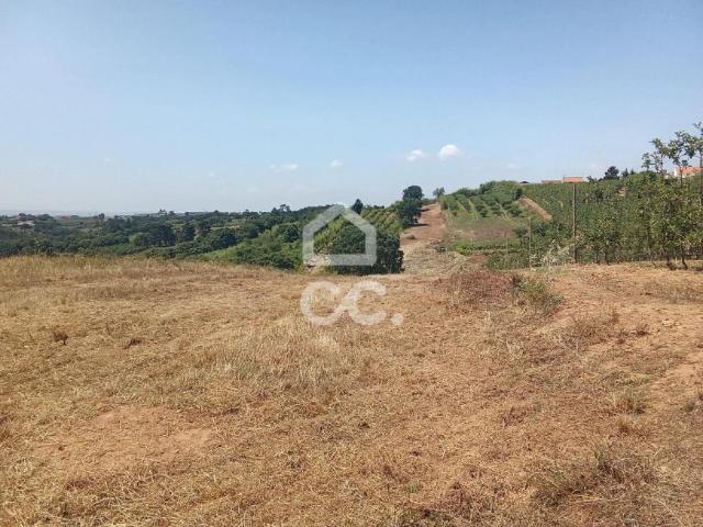 Terreno venda em Óbidos, Leiria