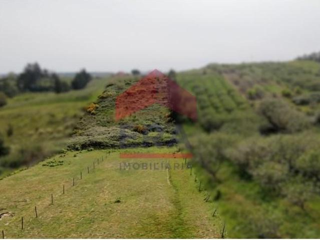 Terreno venda em Casal da Toiça, Óbidos