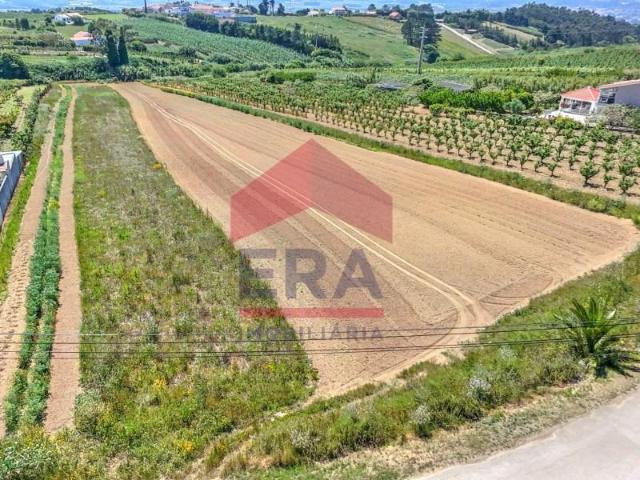 Terreno venda em Óbidos, Leiria