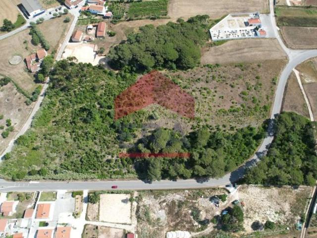 Terreno venda em Óbidos, Leiria