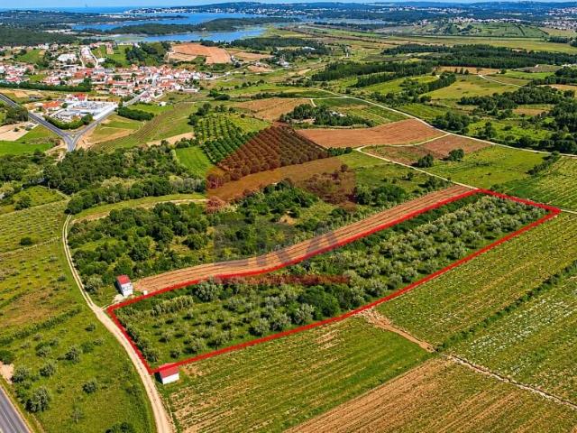 Terreno venda em Vau, Óbidos