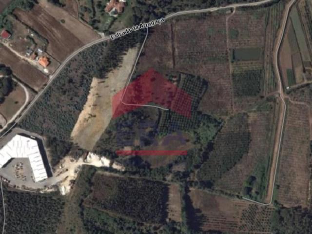 Terreno venda em Óbidos, Leiria