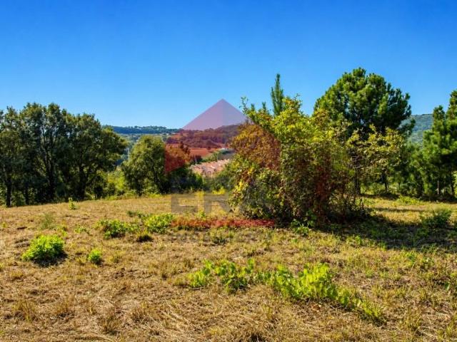 Terreno venda em Óbidos, Leiria