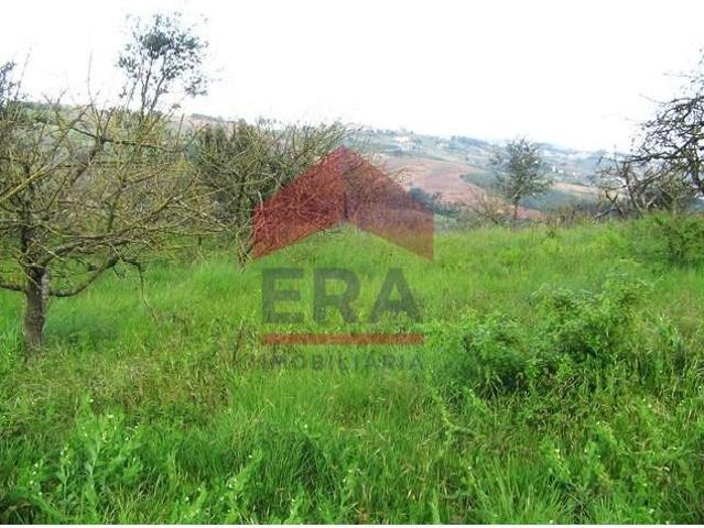 Terreno venda em Óbidos, Leiria