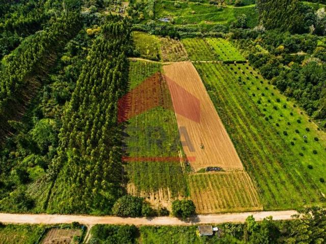 Terreno venda em Óbidos, Leiria
