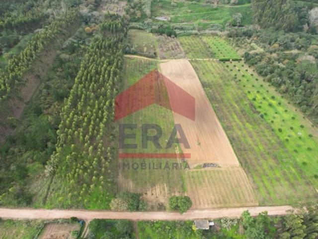Terreno venda em Óbidos, Leiria