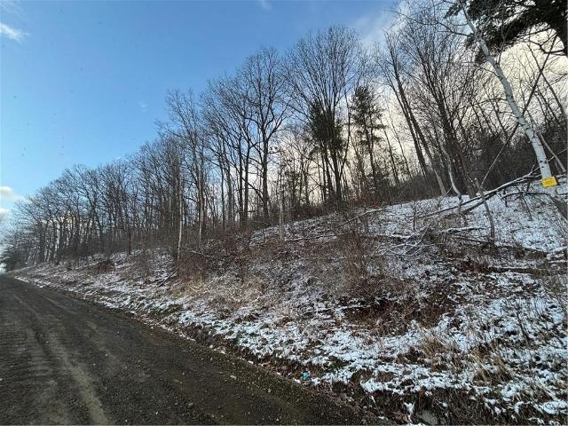Land for sale in Bath, New York
