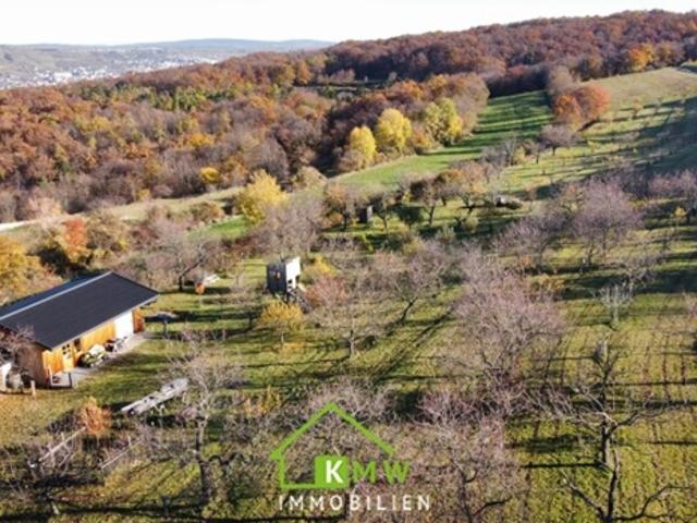 Immobilie kaufen in Bergern im Dunkelsteinerwald, Niederösterreich