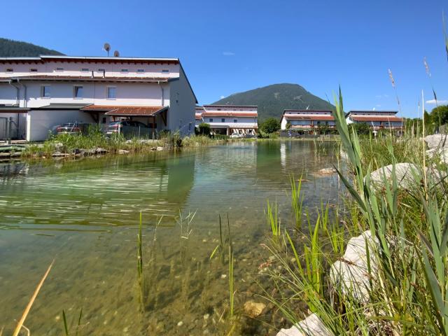 Haus kaufen in Obsteig, Tirol