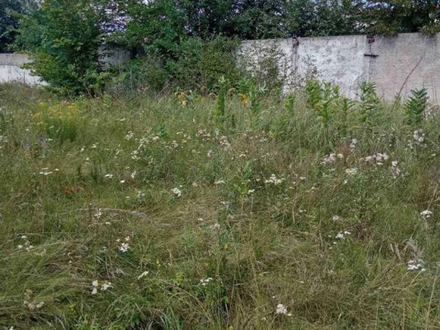 Участок продажа в Украинке, Винницкой области