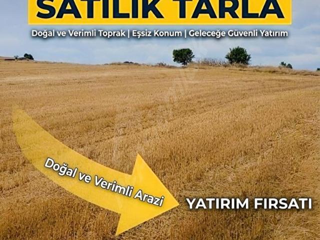 Güneyli, Gelibolu içerisinde satılık Arsa