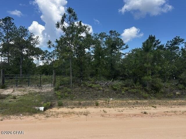 Land for sale in Florida