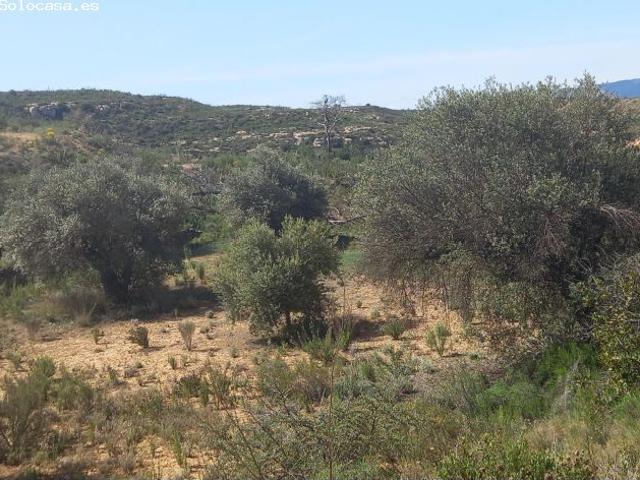 Local Comercial en venta en Ribera d'Ebre, Catalunya